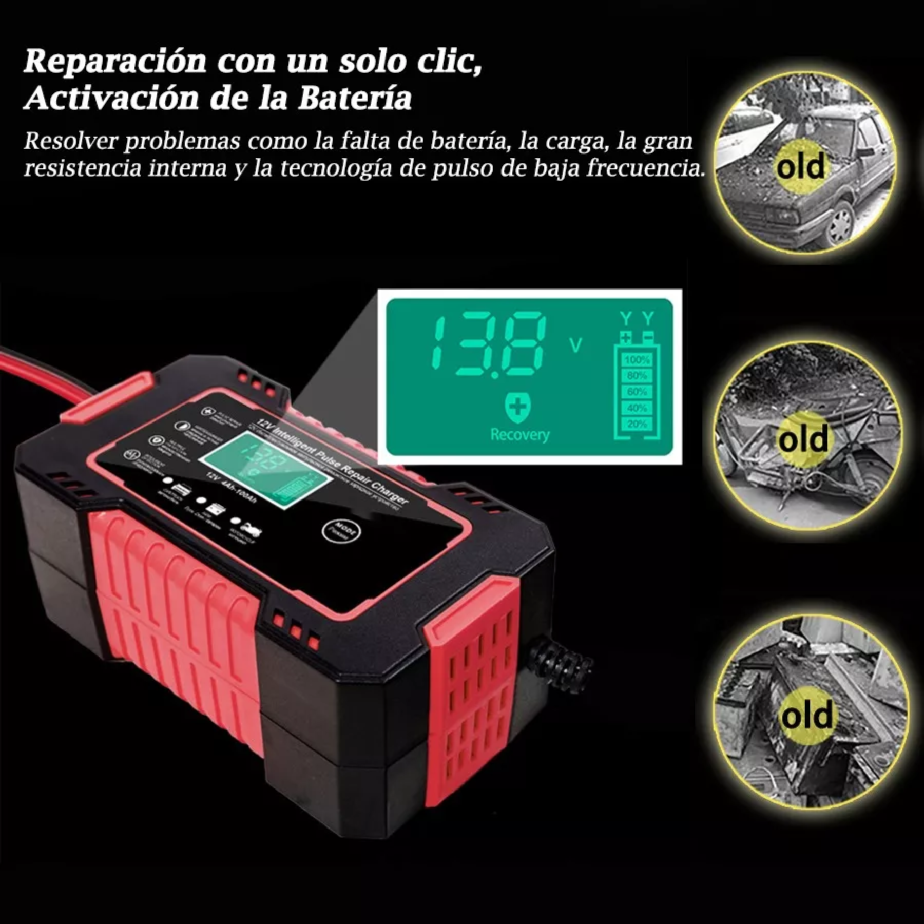 Cargador de Bateria Digital 12V y 24 V